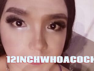 12INCHWHOACOCK Anal Open