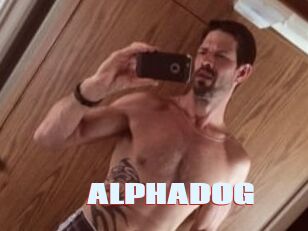 ALPHADOG