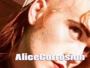 AliceCorrosion