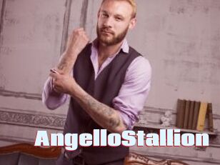 AngelloStallion
