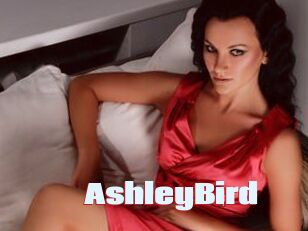 AshleyBird