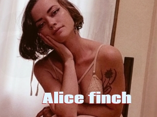 Alice_finch
