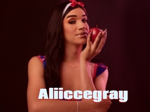 aliiccegray Anal Open