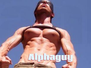Alphaguy