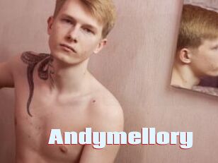 Andymellory