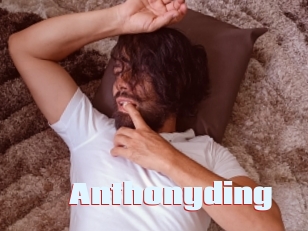 Anthonyding
