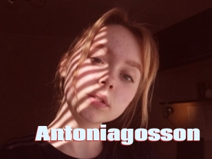 Antoniagosson