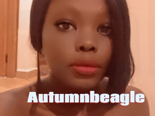 autumnbeagle Anal Open