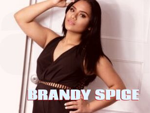 BRANDY_SPICE