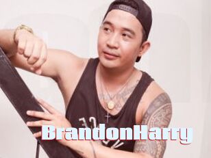 BrandonHarry