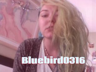 Bluebird0316