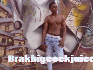 Brakbigcockjuice