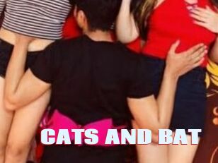 CATS_AND_BAT Anal Open
