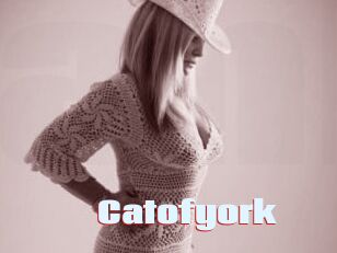 Catofyork
