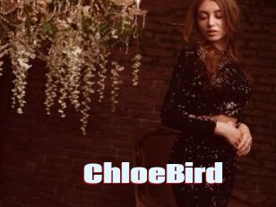 ChloeBird