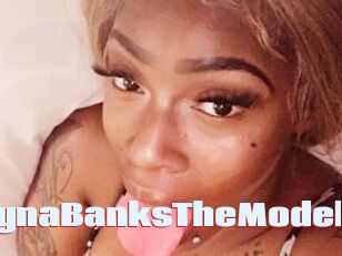 ChynaBanksTheModel