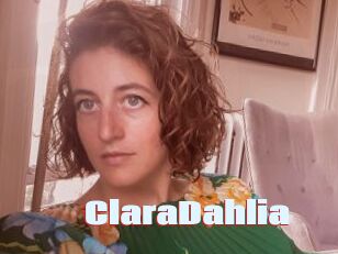 ClaraDahlia