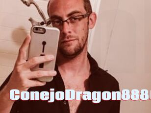 ConejoDragon8886