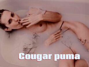 Cougar_puma