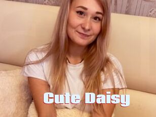 Cute_Daisy