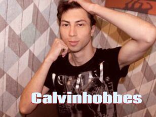 Calvinhobbes