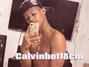 Calvinhot18cm