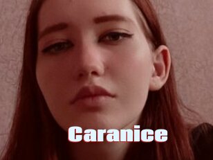 Caranice