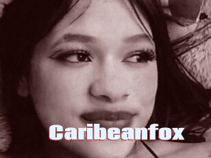 Caribeanfox