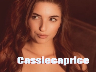 cassiecaprice Anal Open