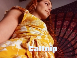 Cattnip
