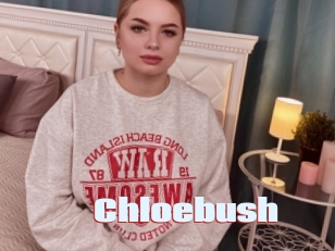 Chloebush