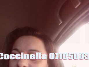 Coccinella-07105003