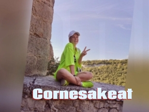 Cornesakeat