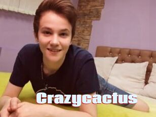 Crazycactus