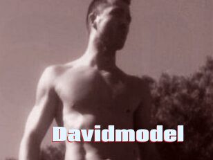 Davidmodel