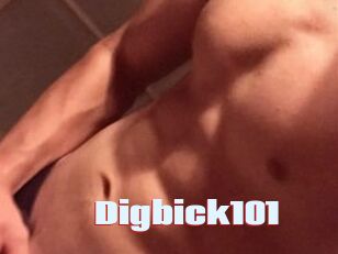 Digbick101