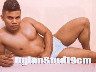 DylanStud19cm