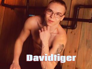 Davidtiger