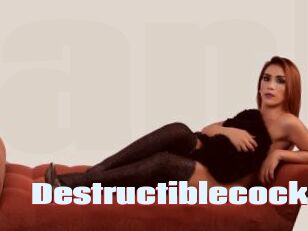 Destructiblecock