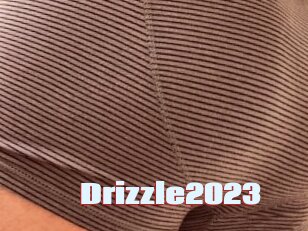 Drizzle2023