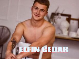 ELFIN_CEDAR