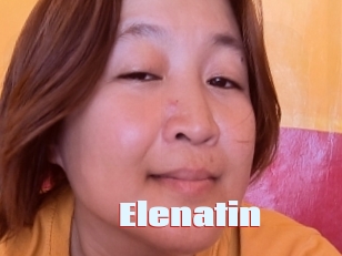 Elenatin