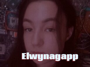 Elwynagapp