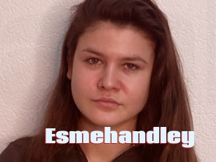 Esmehandley