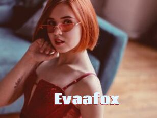 Evaafox
