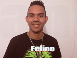 Felino