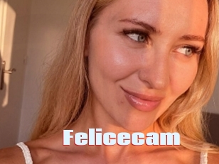 Felicecam