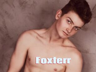 Foxterr