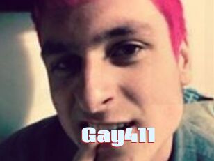 Gay411