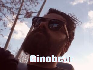 Ginobear